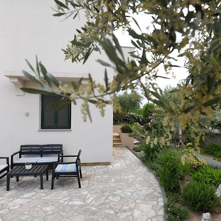 Rose Apartment Zadar Dış mekan fotoğraf