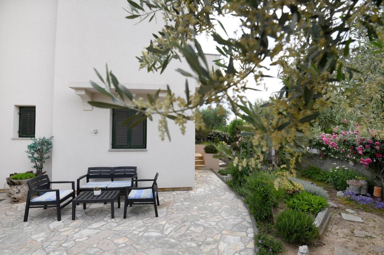 Rose Apartment Zadar Dış mekan fotoğraf