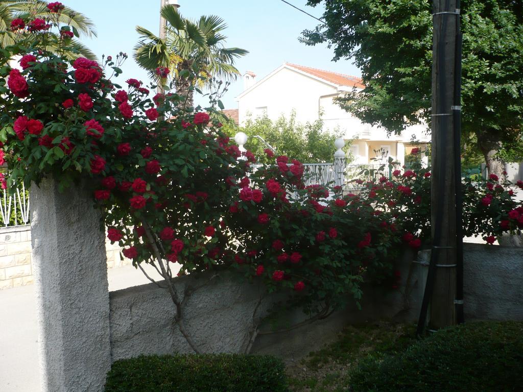 Rose Apartment Zadar Oda fotoğraf